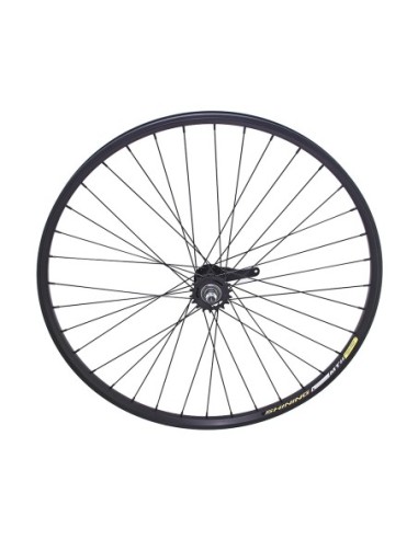 29 Alloy Coaster Wheel 36 Spoke 14gBlack 3/8...